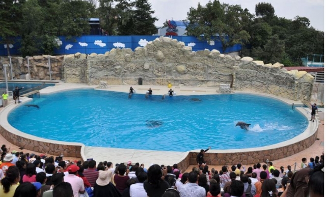  Pond show